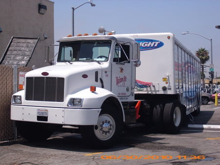 BUD LIGHT TRUCK - beer, righton, hot, rig, cool, outside, truck, ice, big, white, cold, delivery