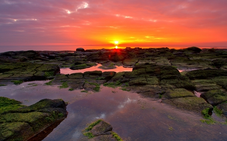 Sunset - reflection, view, sky, sun, clouds, sunlight, water, beautiful, sea, beauty, colors, lovely, ocean, colorful, nature, sunset, rays, peaceful, rocks