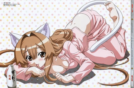 Cat Girl - gilr, cat, anime, konachan, milk