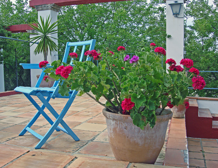 garden terace - chear, terace, red, po, beautiful, flowers, garden