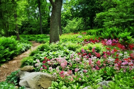 Spring Forest - nature, wild flowers, forest, fullcolors, beautiful, greens, spring