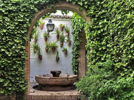 patio - flowers, cordoba, vine, patio, spain