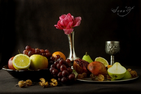 fruits and rose - silver vase, pears, fruits, rose, beautiful, red, silver cup, grape, pomerorange, lemons