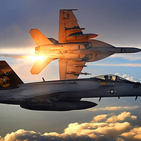 F/A-18 Hornets