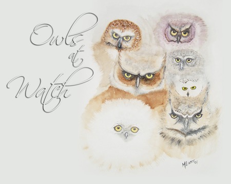 Owls at Watch - owl, bird, nature, harry potter, audubon, mildred losee, animals