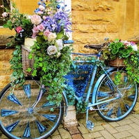 Botanical bike