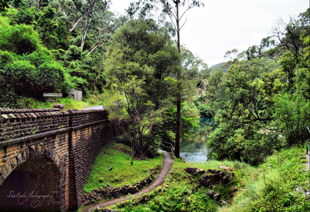 Castle's Entrance - lake, landscape, trees, enchanted, greenery, castle bridge, starkatz