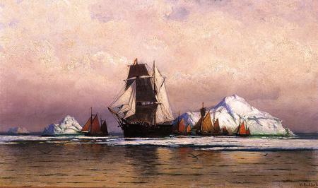 Fishing Fleet of Labrador 1892 - fleet, sailing ships, fishing, sea, rocks, sky