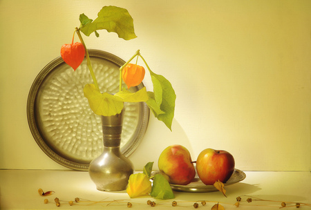 still life with fruits - apples, beautiful, vase, fruits, leafs, still life