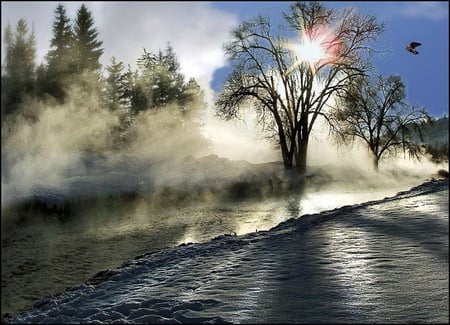 Break through - lake, water, trees, mist, sunrise, birds