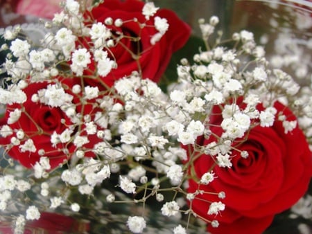 Flowers - beauty, roses, bouquet, flowers, red roses