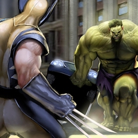 Hulk vs Wolverine