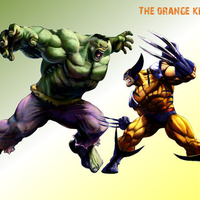 Hulk vs Wolverine