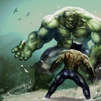 Hulk vs Wolverine