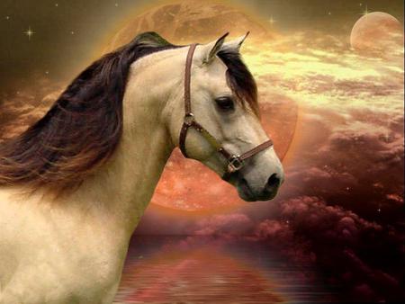 Horse Sky - planets, nature, horses, ponies, arabians, sky