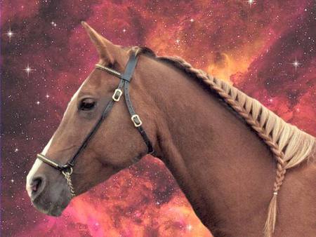 Beautiful Sky Horse - clouds, planets, fantasy, nature, horses, arabians, sky