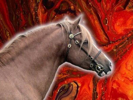 Fire Pony - horses, nature, ponies, fire