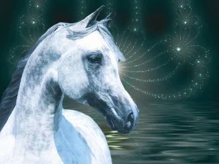 White Fire Works - horses, nature, sky, ponies, fireworks, arabians