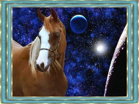 Shooting Stars - horses, nature, planets, stars, animals, arabians