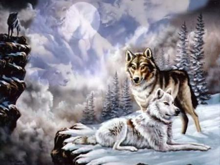 Wolf Mountain - nature, wolves, trees, animals, snow, dogs, mountains, wolf pups