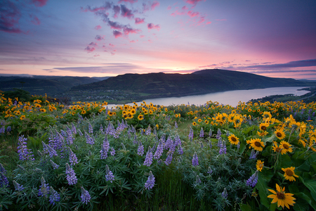 Landscape-HDR - landscape, grass, mountain, flowers, view, hdr, lake, nice, sky, clouds, water, beautiful, photography, colors, morning, cool, river, nature, sunset