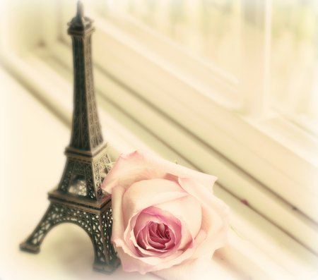 still life - elegantly, romance, trophy, pink, photo, gentle, souvenir, paris, nice, france, beautiful, photography, cool, love, still life, flower, harmony, rose, ayfilova tower