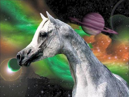 The Space Horse - space, planets, nature, horses, arabians