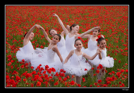 dance - girls, dance, colors, red