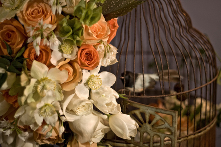 double beauty - cage, beautiful, cascade, flowers, bird