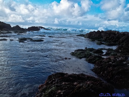 Beach - pretty, fun, beach, dark