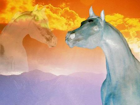 The Arabian Spirit - horses, nature, sky, abstract, animals, 2 arabians, mountains, arabians