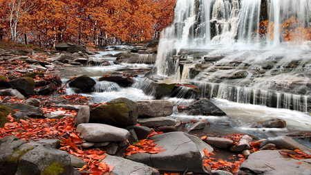 Autumn Rapids - brisk, rapids, autumn, rockie, peaceful, water, waterfall, rocks, fall, cold, tranquil, beautiful, scenery, leaves