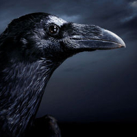 The Raven