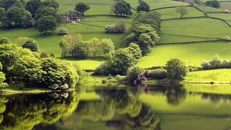 Nature's Own - reflections, nature, lake, trees, beautiful, breathtaking, green