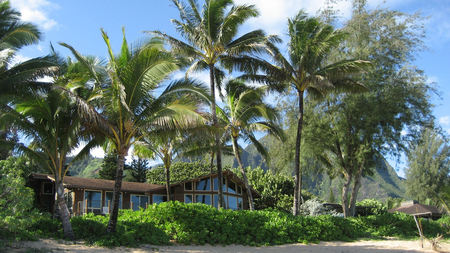 Beautiful Beach House - beach, palm trees, beautiful, sand, beach house