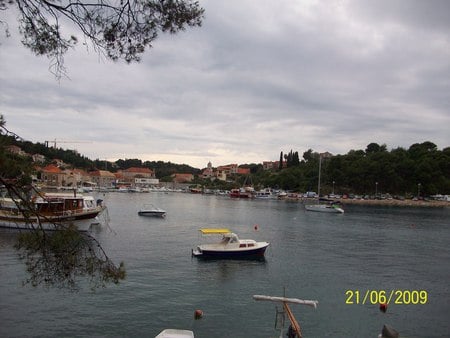 boats - boats, sea, trees, sunset