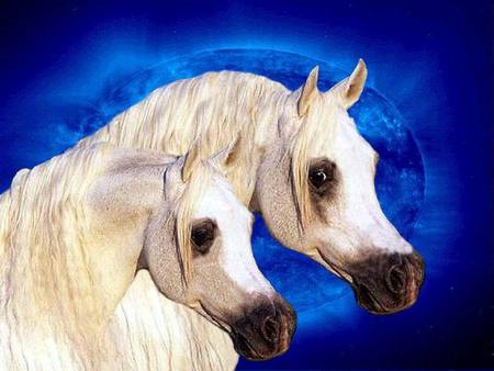 The Arabian Sisters - space, moon, planets, nature, white horses, arabians, stars, sky