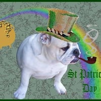 Happy St.Patricks Day!!!!