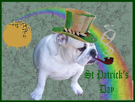 Happy St.Patricks Day!!!! - nature, holidays, bulldogs, gray skys, animals, rainbows, dogs, hats