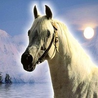 Arabian Glacier