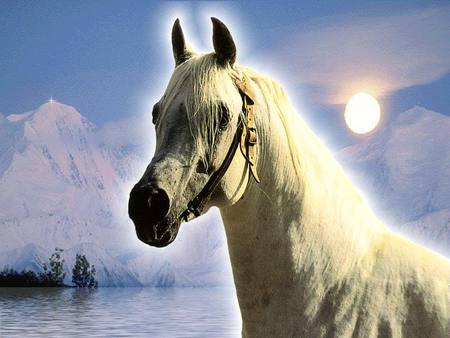 Arabian Glacier - ice, nature, glacier, snow, arabians, sun