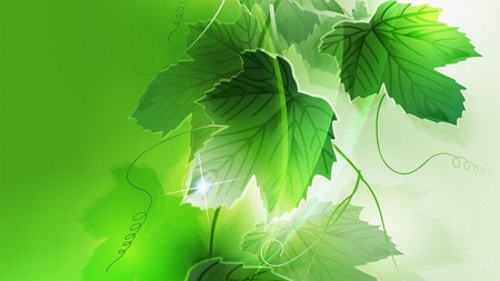 Spring Green Four - abstract, grape leaves, green, summer, firefox persona, spring