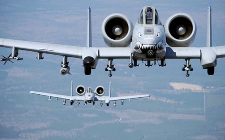 Warthogs - fairchild, usaf, a-10c, warthog