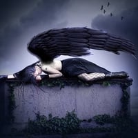 SLEEPING DARK ANGEL