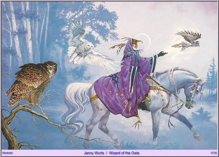 Wizard of the Owls - moon, horse, forest, wizard, owl