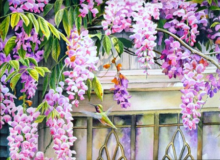 hummingbird  blossoms - wisteria, panes, window, hummingbird, tree