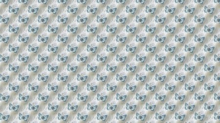 Butterflies of Blue - butterfly, blue, pattern, firefox persona, silver gray