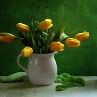 still life