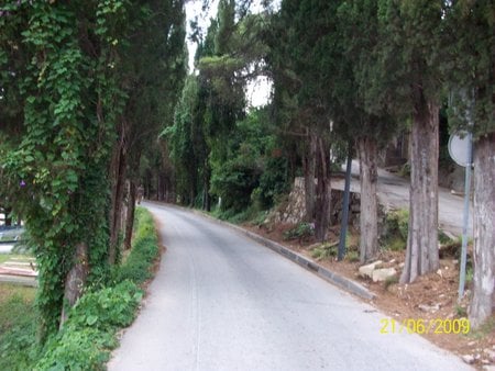 road... - green, resting, road, woods