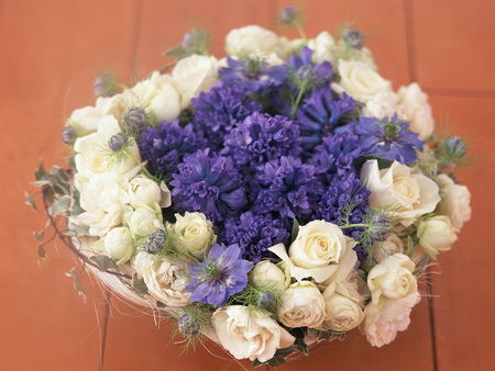 flowes - white, nature, love, gift, for you, violet, flower